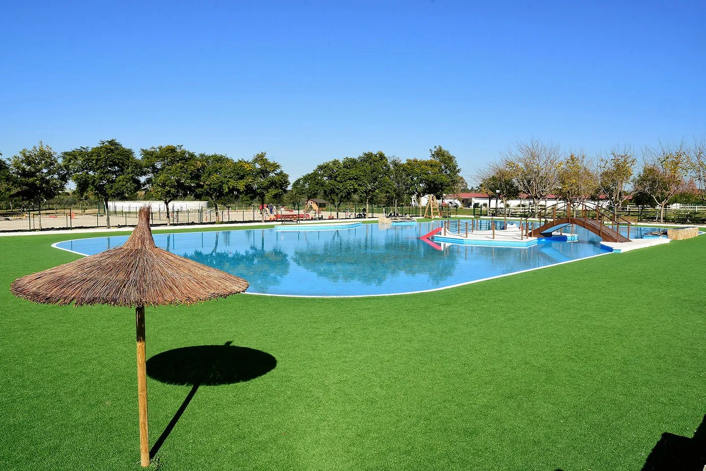 piscina para perros