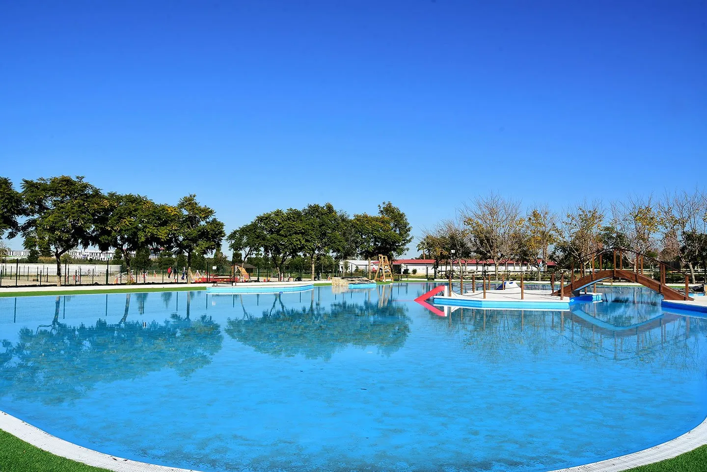 piscina para perros