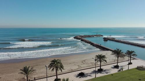 playa para perros en alborache