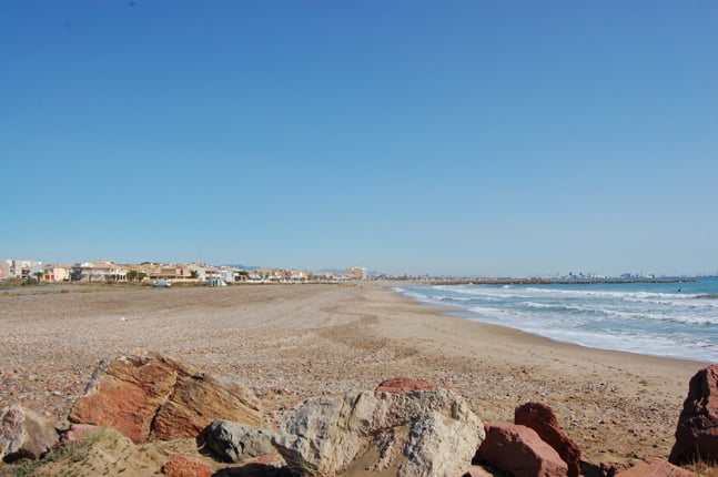 Playa para Perros en El Puig Valencia