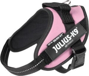 JULIUS-K9 16IDC Power Harness