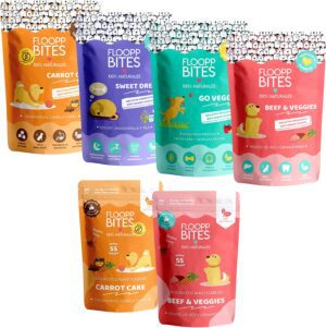 FlooppBITES Chuches para Perros - Galletas y Soft Snacks Perro 100% Naturales - Premios y golosinas - Alimento complementario Perros - Pack Variado - 6 Unidades (Total 500gr.)